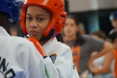 DSC02202