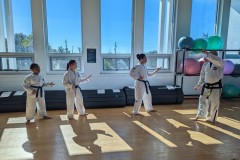 PXL_20230107_164501228