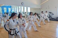 PXL_20230107_164523903.MP_