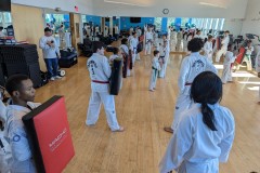 PXL_20230107_172008143.MP_