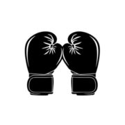 Sparring Gear Rules